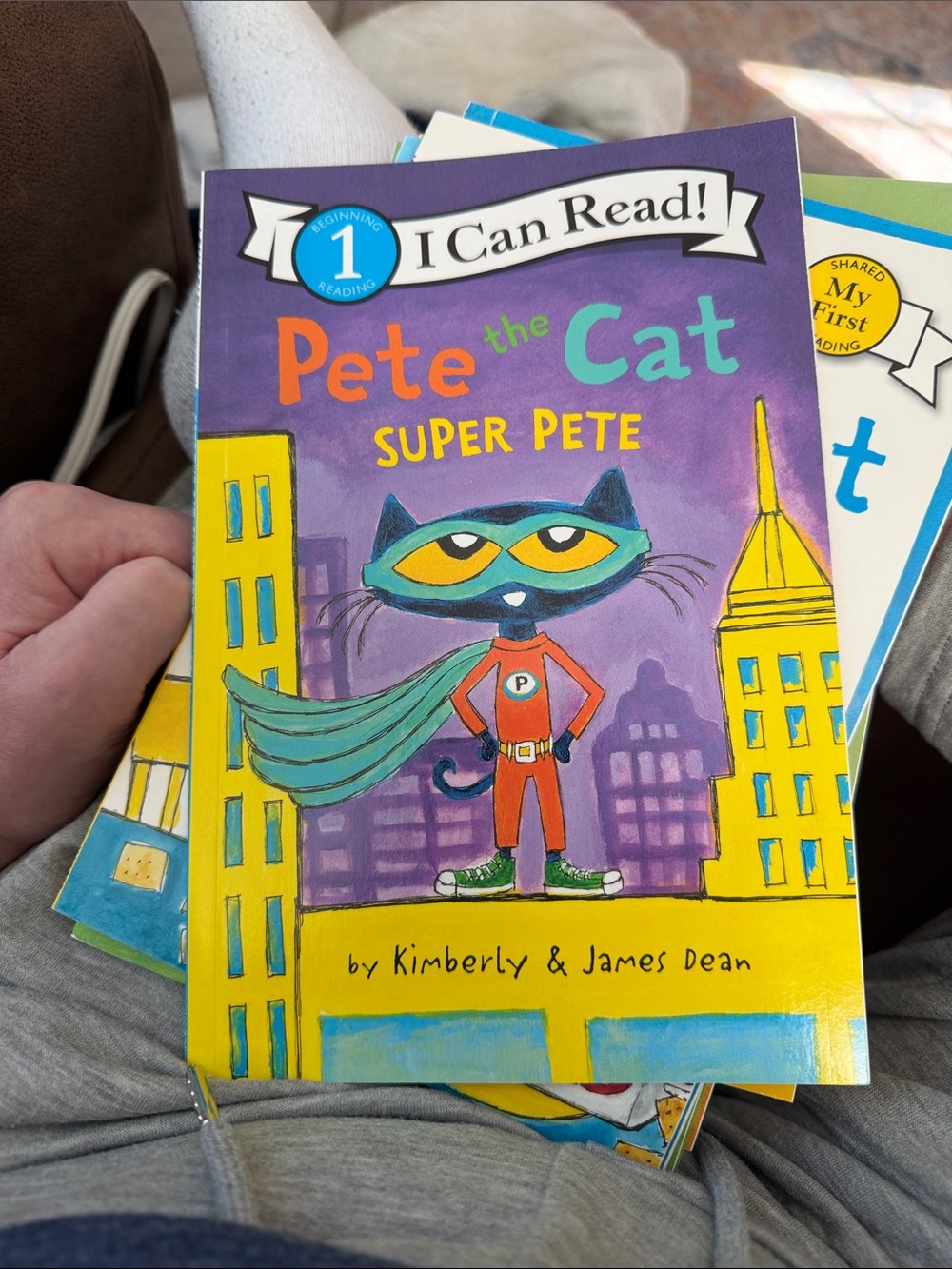 Pete the Cat 7 book lot.  Softcover